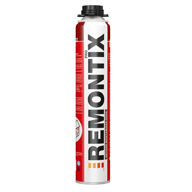REMONTIX Pro    