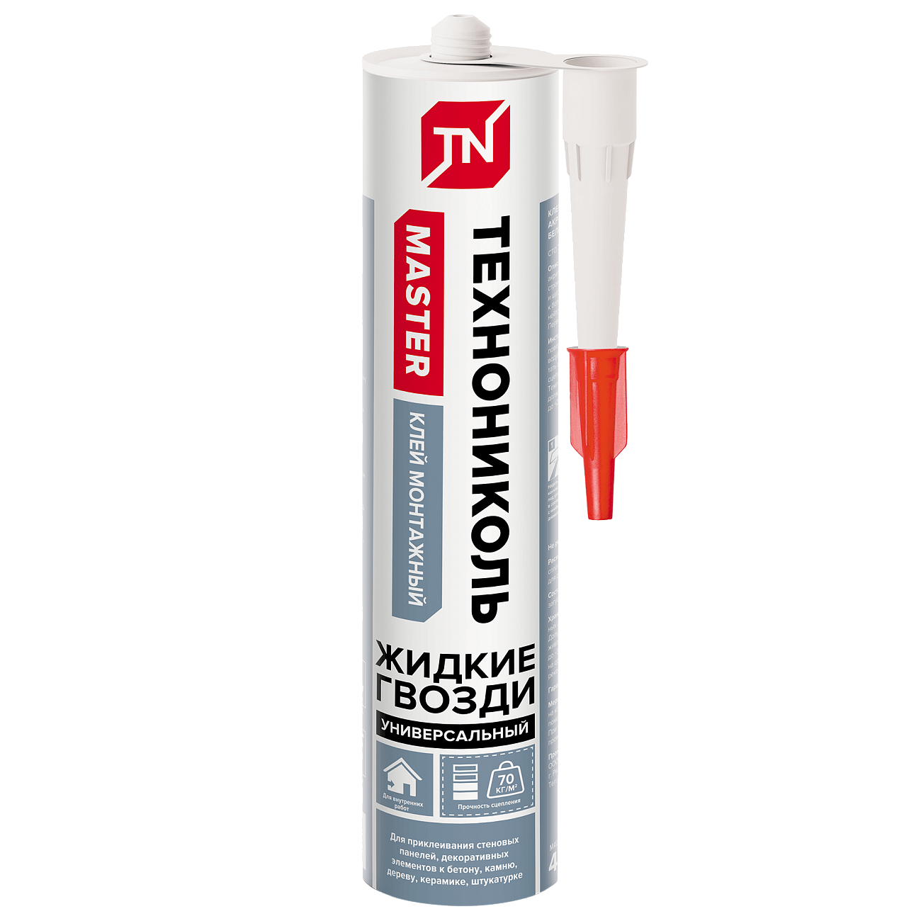 ����������� MASTER ���� ������������� ���������