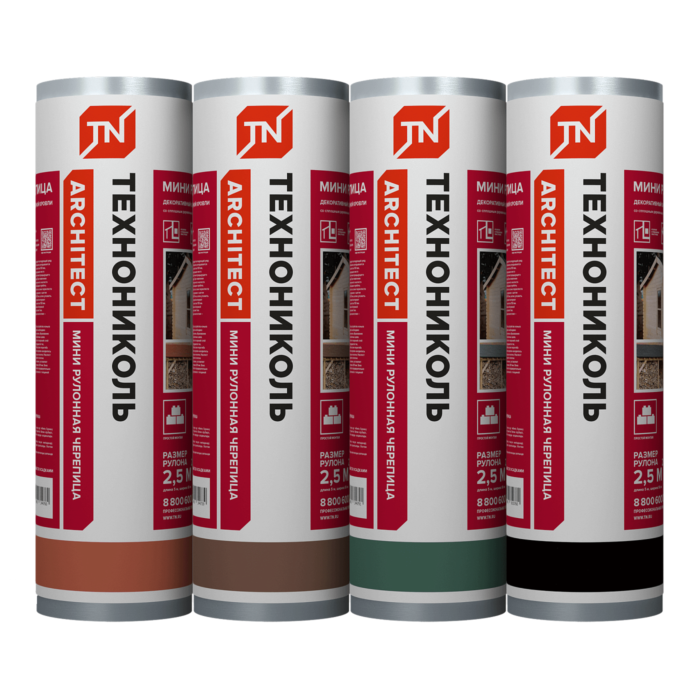 ����������� ���� �������� �������� 